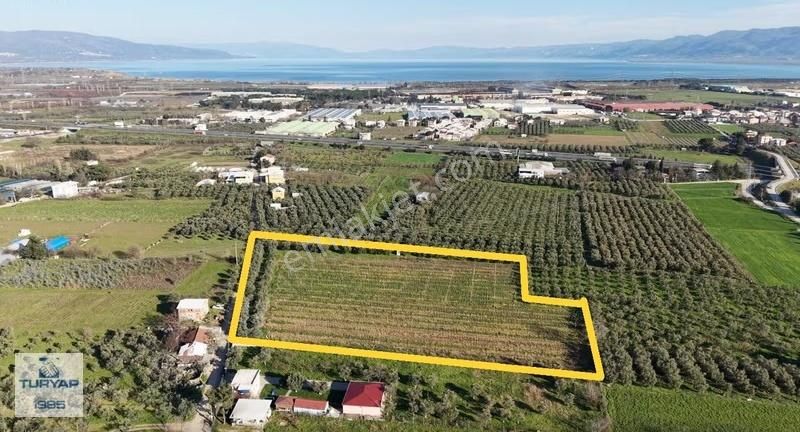 Turyap'tan Orhangazi Fatih'te 13552 M2 Yolu Olan Tarla - Görsel 2
