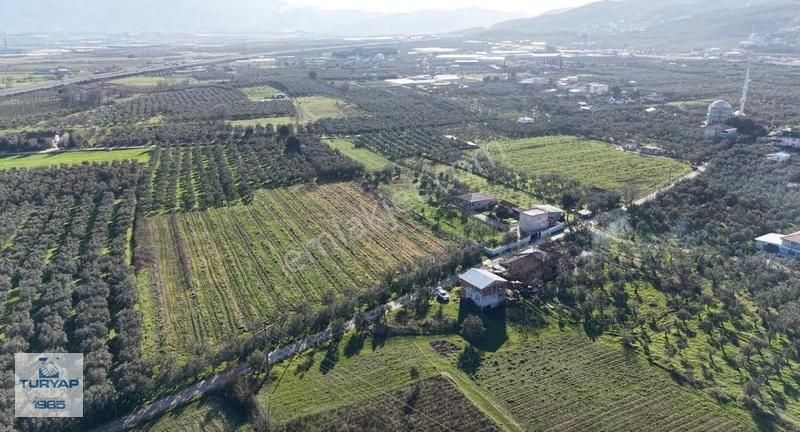 Turyap'tan Orhangazi Fatih'te 13552 M2 Yolu Olan Tarla - Görsel 12