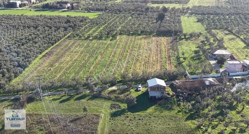 Turyap'tan Orhangazi Fatih'te 13552 M2 Yolu Olan Tarla - Görsel 11