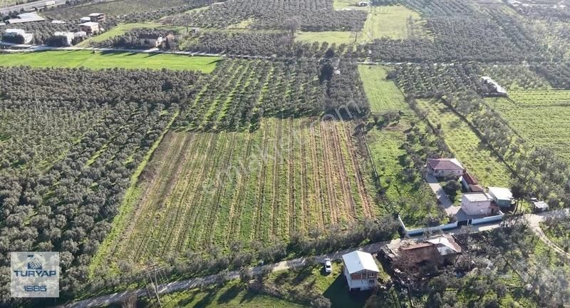 Turyap'tan Orhangazi Fatih'te 13552 M2 Yolu Olan Tarla - Görsel 14
