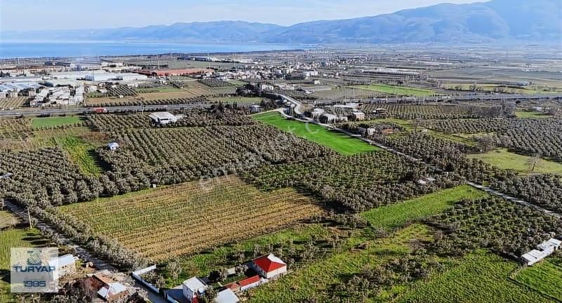Turyap'tan Orhangazi Fatih'te 13552 M2 Yolu Olan Tarla - Görsel 7