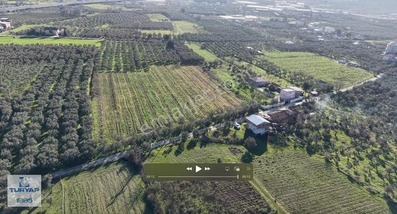 Turyap'tan Orhangazi Fatih'te 13552 M2 Yolu Olan Tarla - Görsel 5