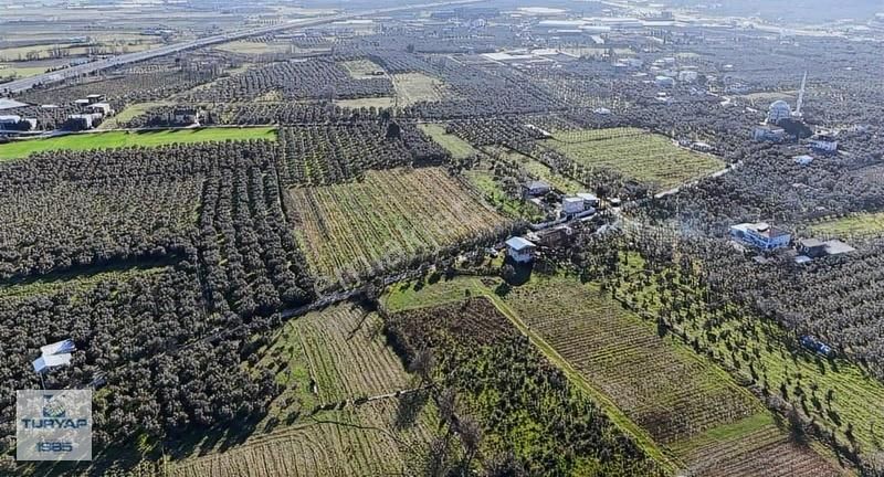 Turyap'tan Orhangazi Fatih'te 13552 M2 Yolu Olan Tarla - Görsel 6