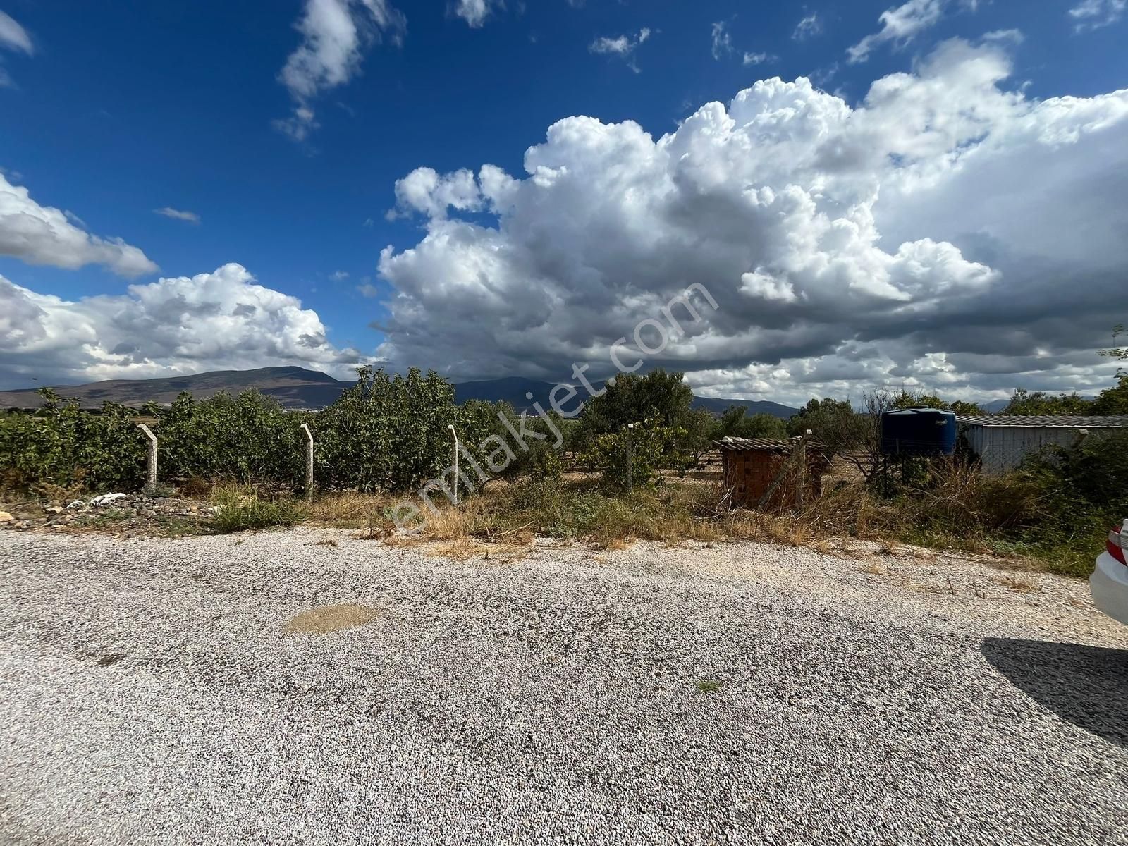 Satılık Müstakil Tek Tapulu Tarla Menemen Türkelli - Görsel 12