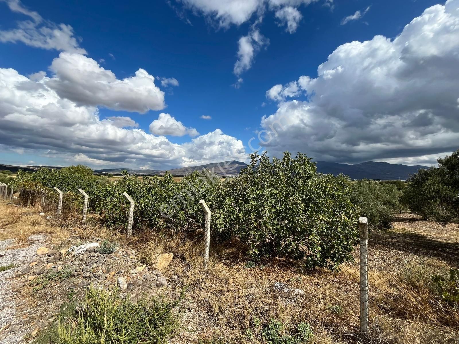 Satılık Müstakil Tek Tapulu Tarla Menemen Türkelli - Görsel 10