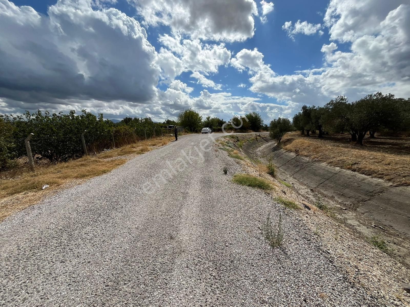 Satılık Müstakil Tek Tapulu Tarla Menemen Türkelli - Görsel 7