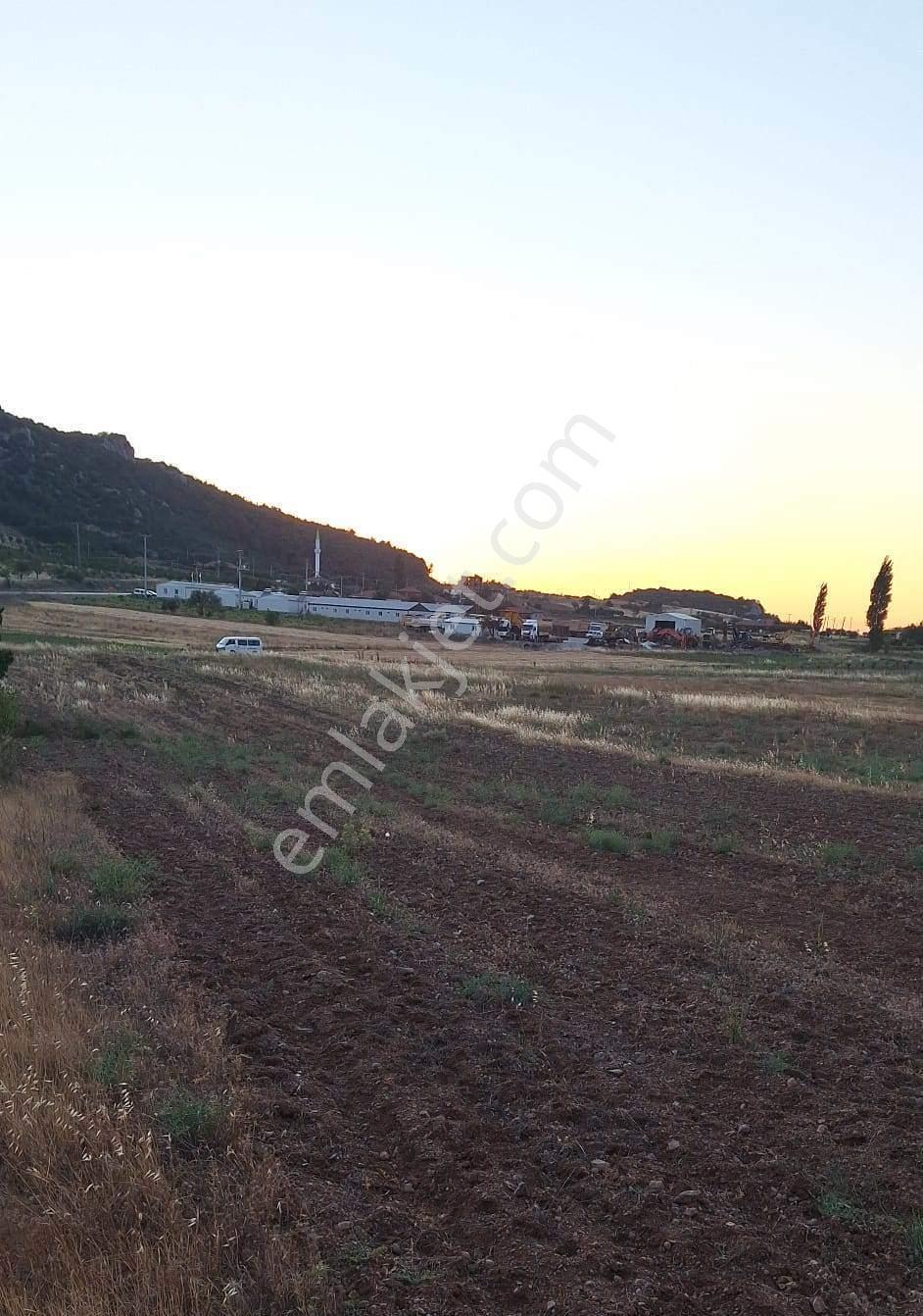 Akhisar Dogankaya Da 4.100 Metre Kare Yatırımlık Zeytinli Tarla - Görsel 2