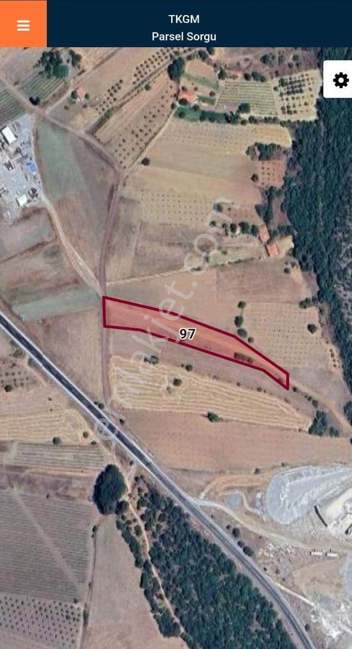 Akhisar Dogankaya Da 4.100 Metre Kare Yatırımlık Zeytinli Tarla - Görsel 4