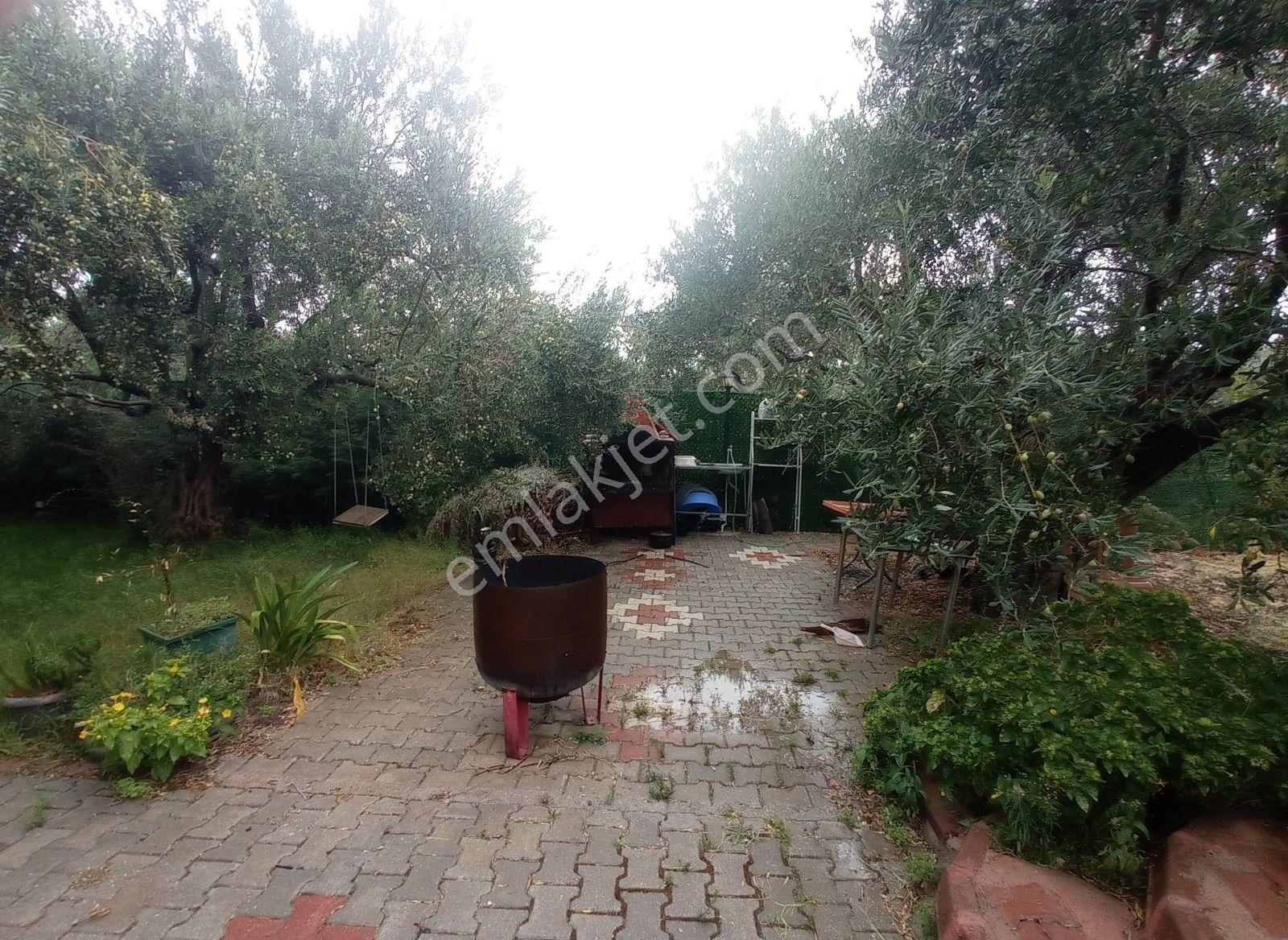 Müstakil Havuzlu 3+1 Villa Konforunda Ev Ve Bahçe - Görsel 9