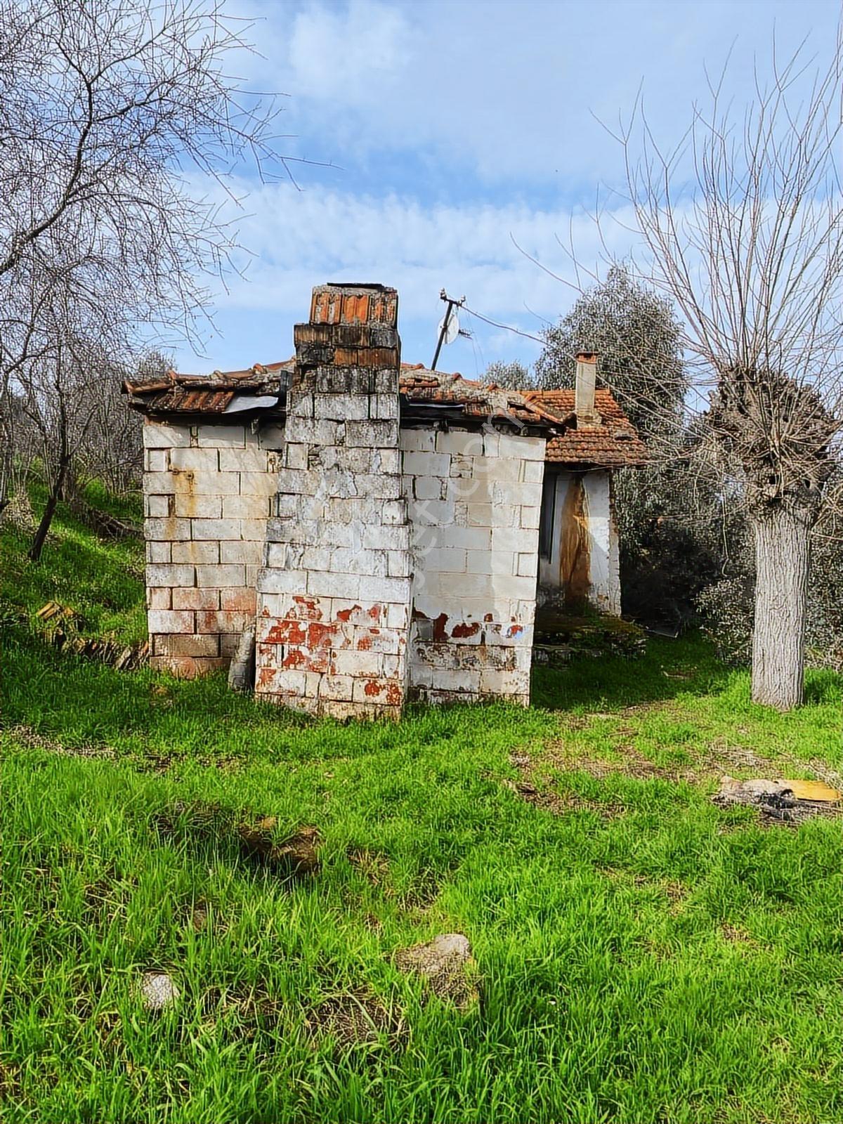 Aydın Dalama Mahallesin'de Satılık 1620 M2 Bahçe Evi - Görsel 29