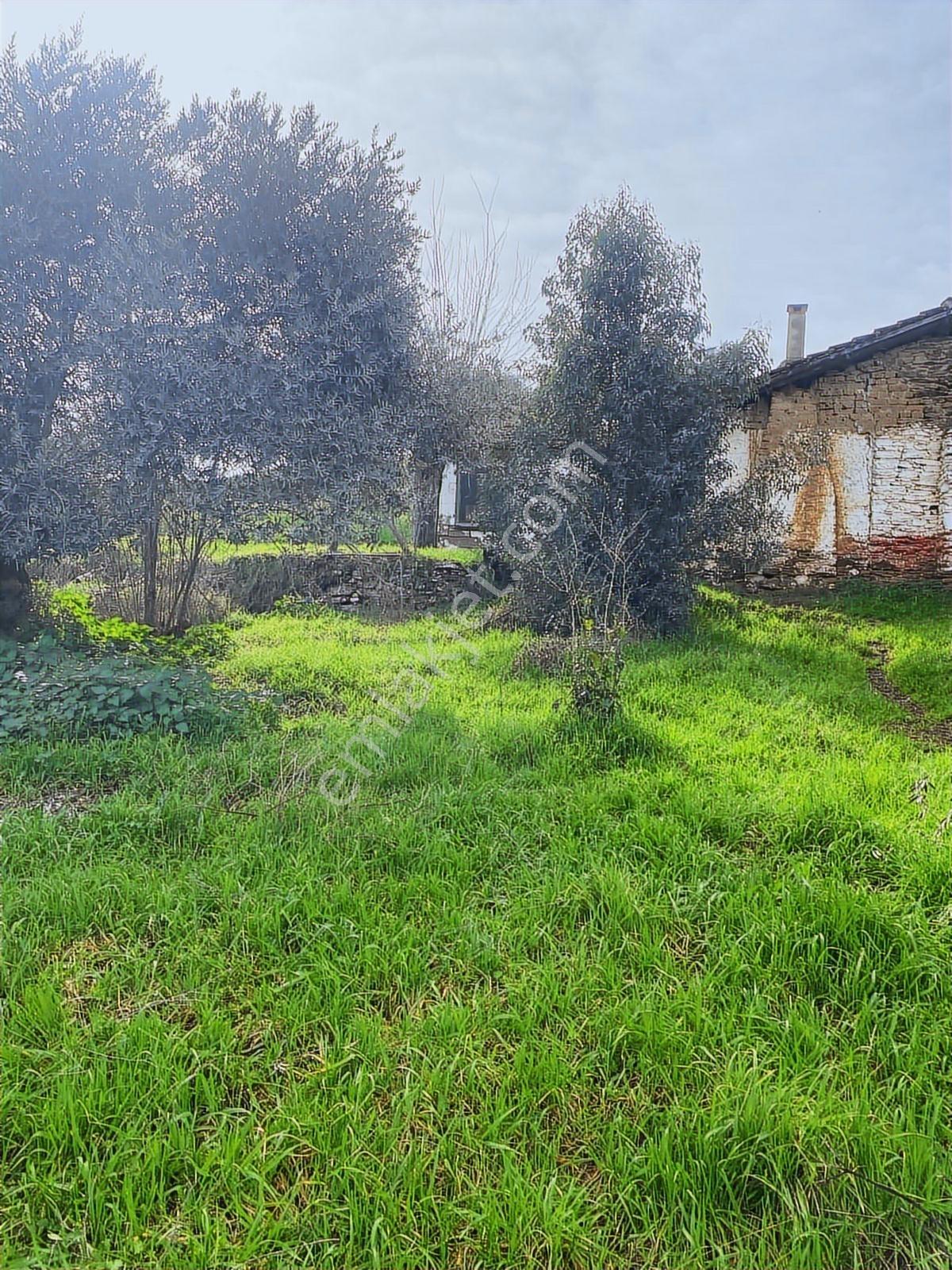 Aydın Dalama Mahallesin'de Satılık 1620 M2 Bahçe Evi - Görsel 26