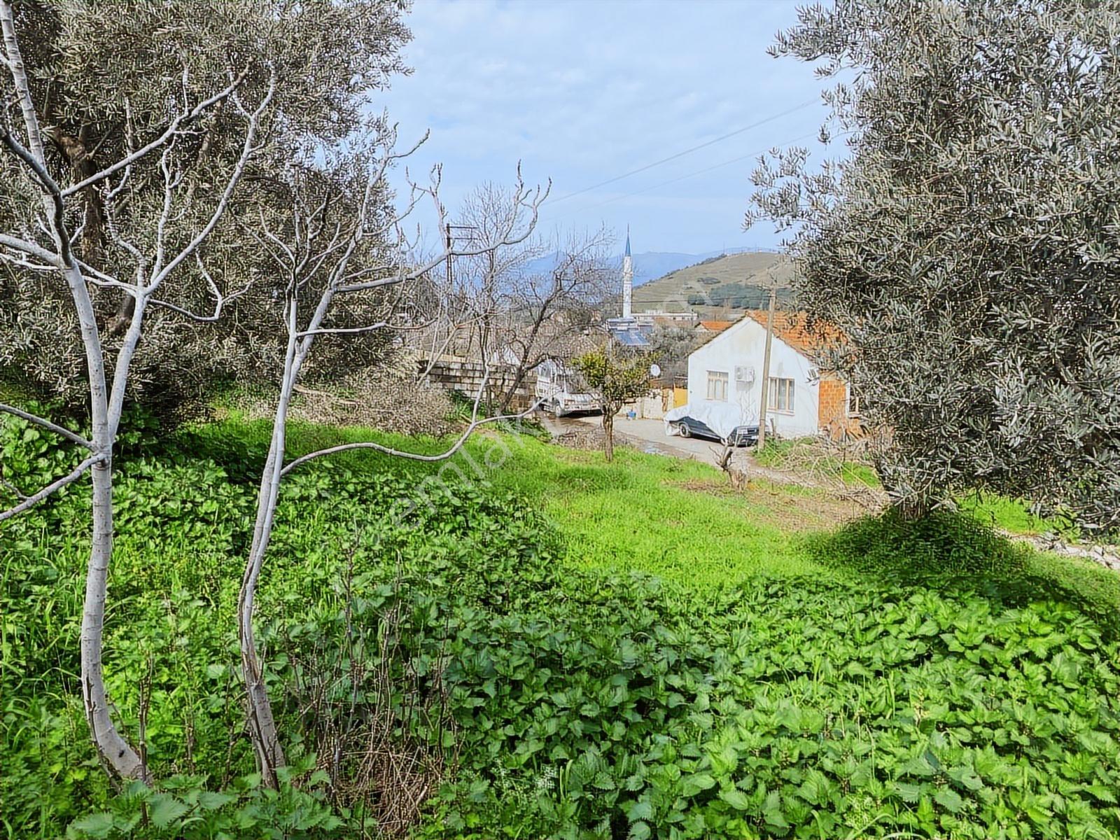 Aydın Dalama Mahallesin'de Satılık 1620 M2 Bahçe Evi - Görsel 27