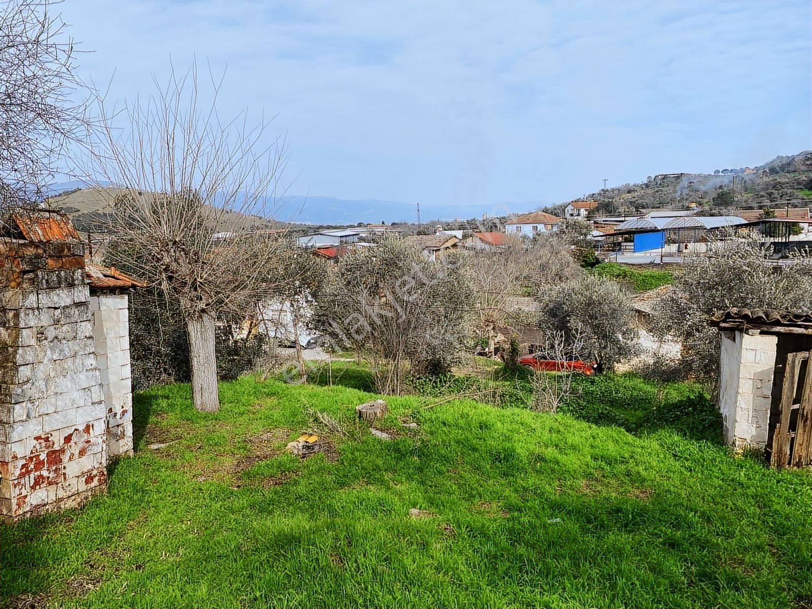 Aydın Dalama Mahallesin'de Satılık 1620 M2 Bahçe Evi - Görsel 2