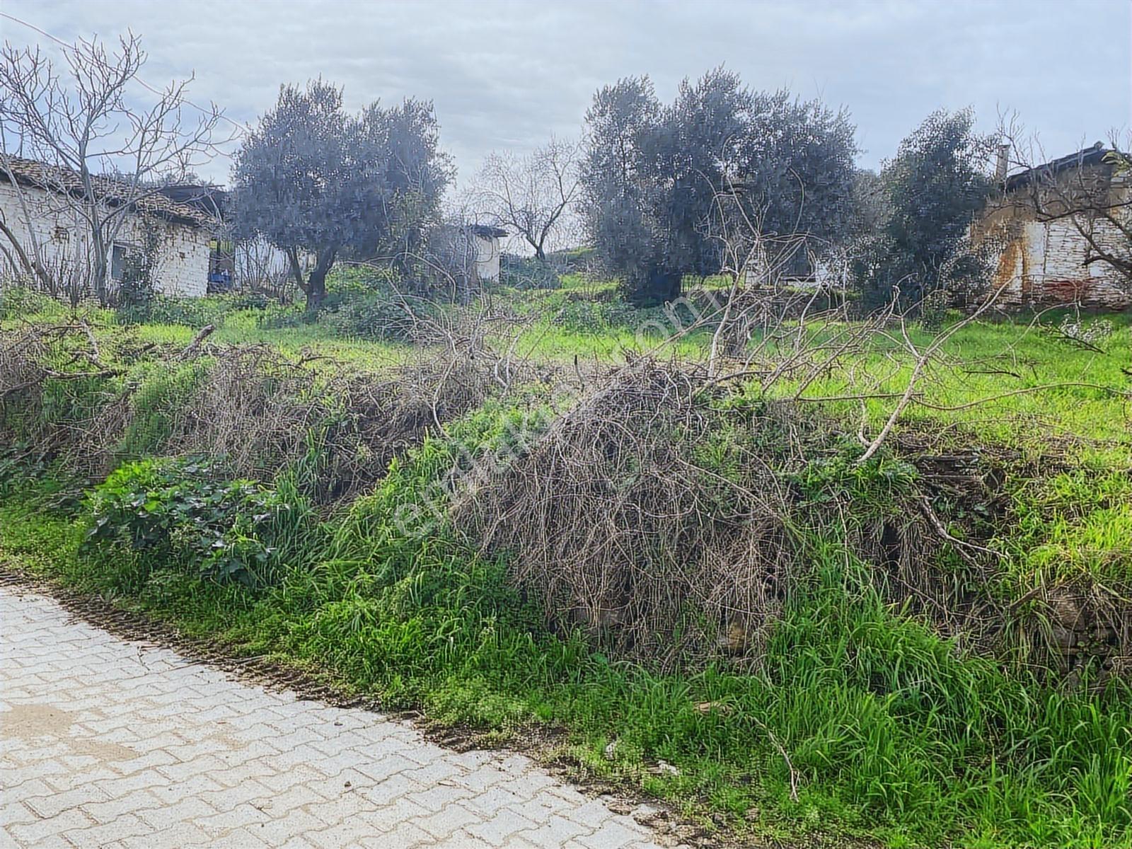 Aydın Dalama Mahallesin'de Satılık 1620 M2 Bahçe Evi - Görsel 13