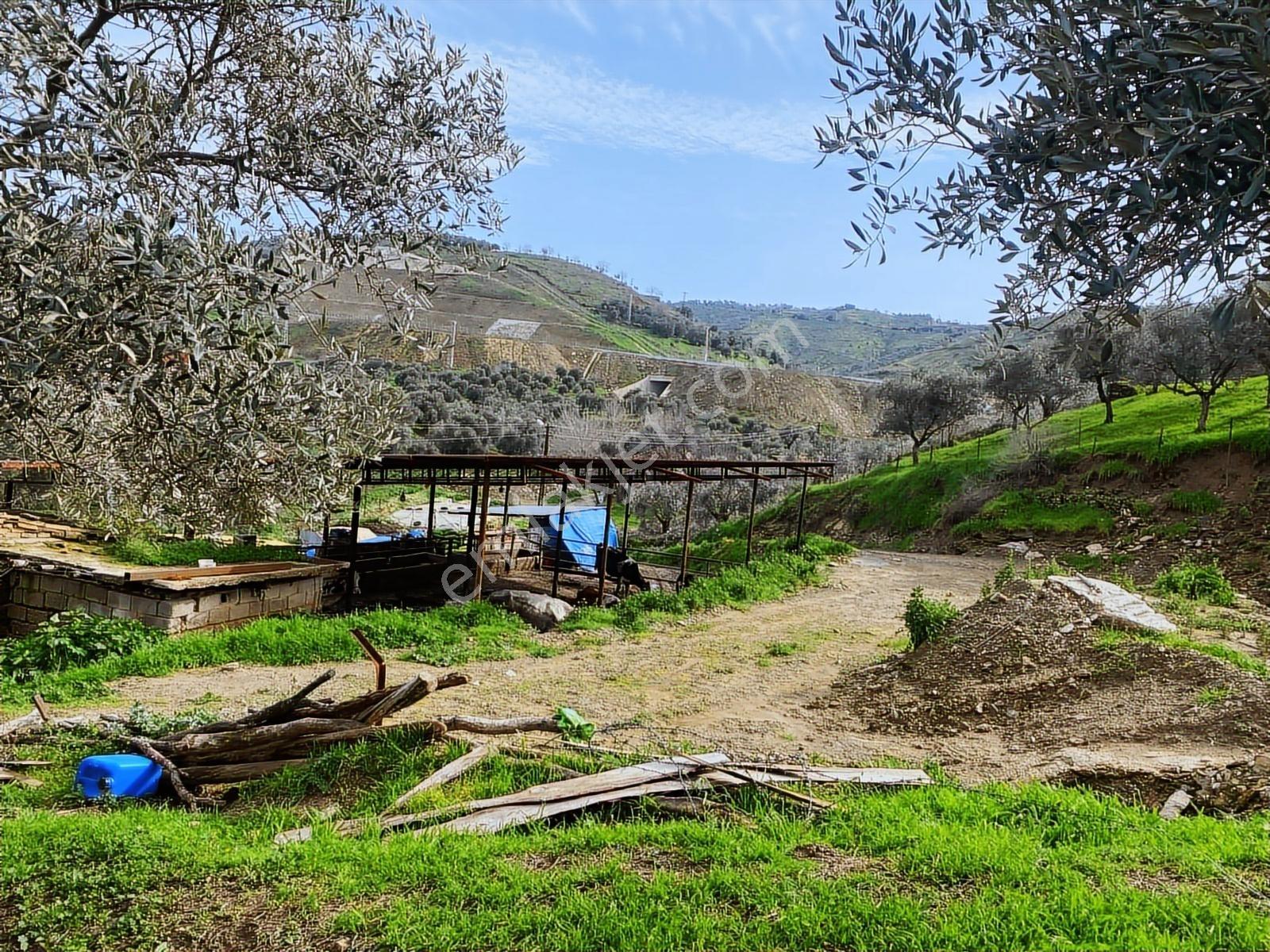Aydın Dalama Mahallesin'de Satılık 1620 M2 Bahçe Evi - Görsel 23