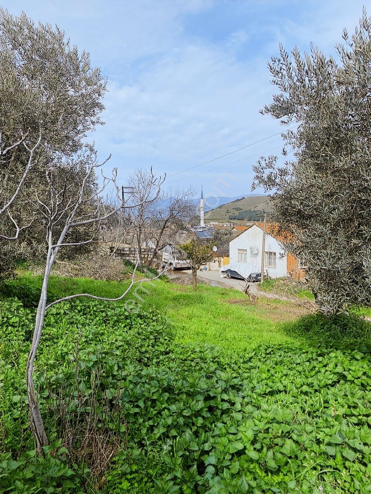Aydın Dalama Mahallesin'de Satılık 1620 M2 Bahçe Evi - Görsel 14