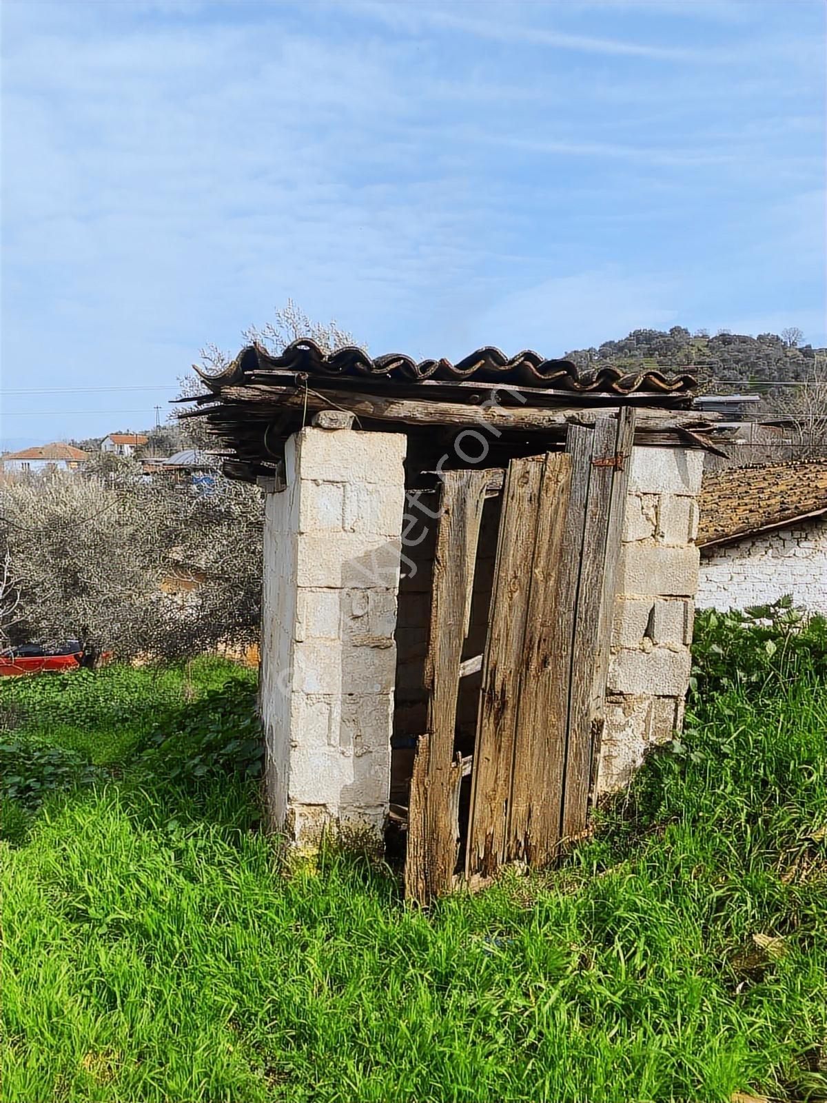 Aydın Dalama Mahallesin'de Satılık 1620 M2 Bahçe Evi - Görsel 28