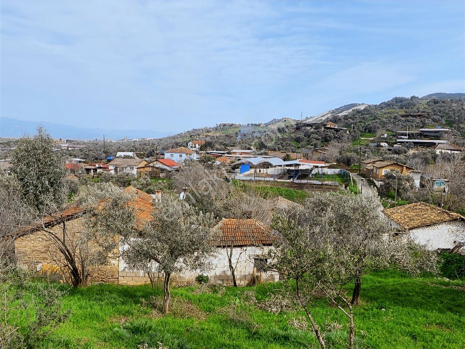 Aydın Dalama Mahallesin'de Satılık 1620 M2 Bahçe Evi - Görsel 9