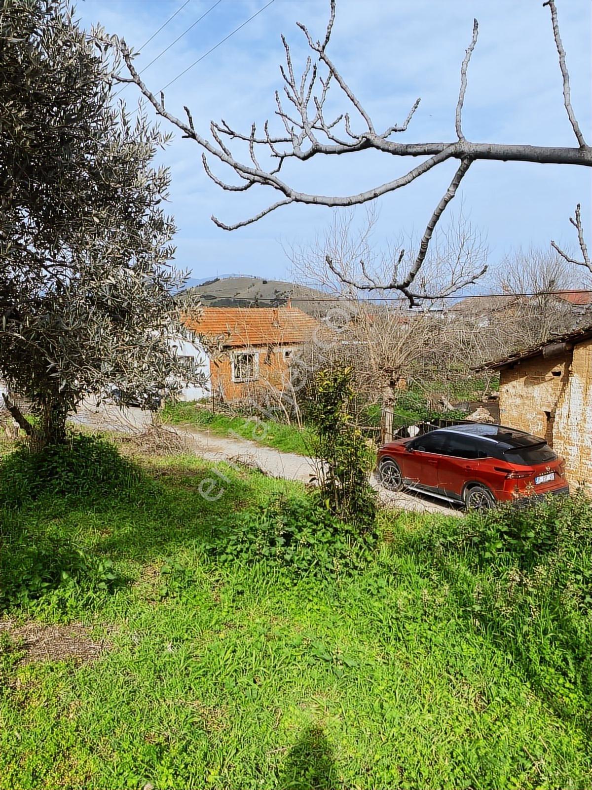 Aydın Dalama Mahallesin'de Satılık 1620 M2 Bahçe Evi - Görsel 5