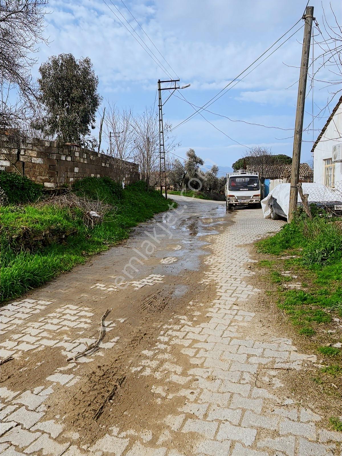 Aydın Dalama Mahallesin'de Satılık 1620 M2 Bahçe Evi - Görsel 18