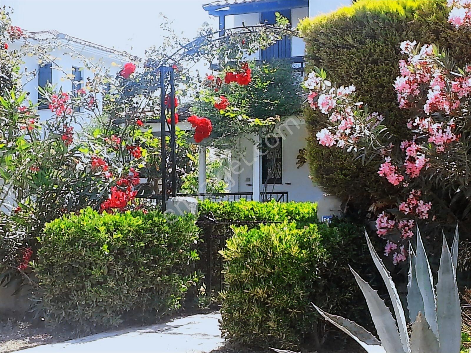 Çeşme Ayayorgi Mevki Yüzme Havuzlu,full Eşyalı,superlux Fırsat
