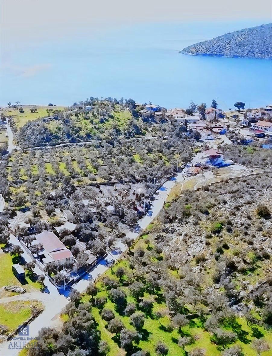 Bodruma Yakın Gökbelde 1839 M² Çok Prim Yapacak Arazi - Görsel 4