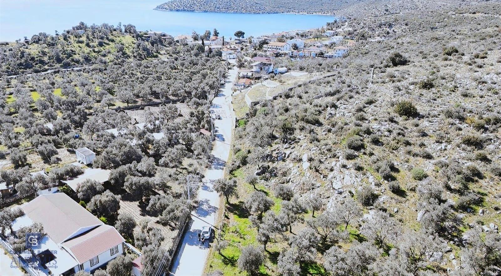Bodruma Yakın Gökbelde 1839 M² Çok Prim Yapacak Arazi - Görsel 5