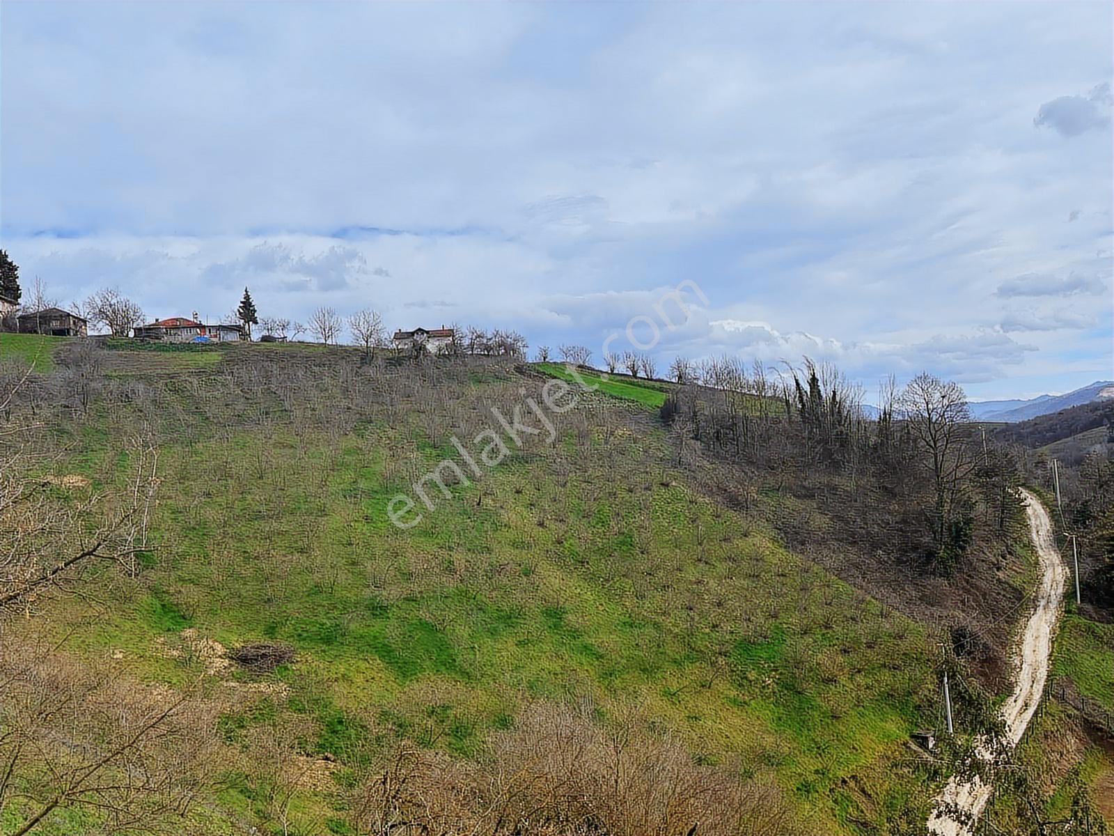 Düzce Yığılca Naşlar Da Konut İmarlı Arsa 399 M2 Kaçırmayın...!! - Görsel 14