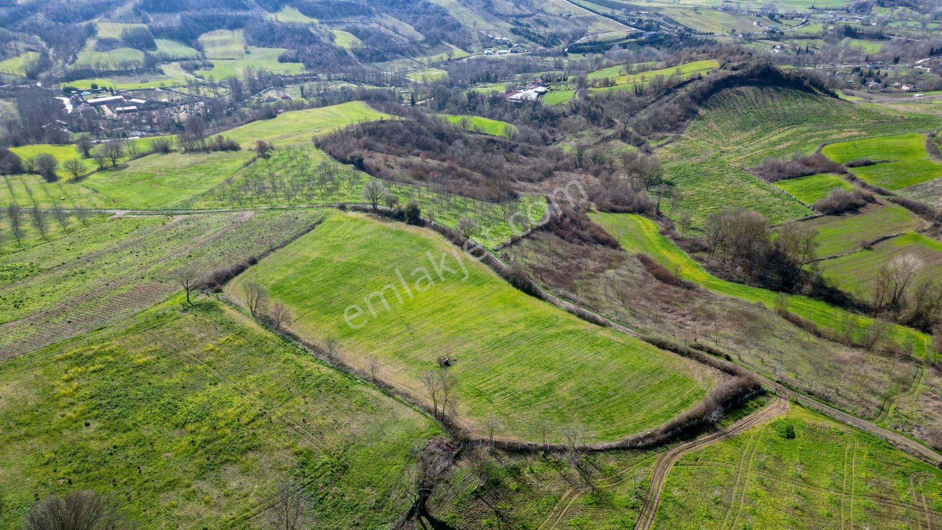 Uzmanlar'dan Karamürsel Yalakdere Satılık 12.730 M2 Tarla - Görsel 9