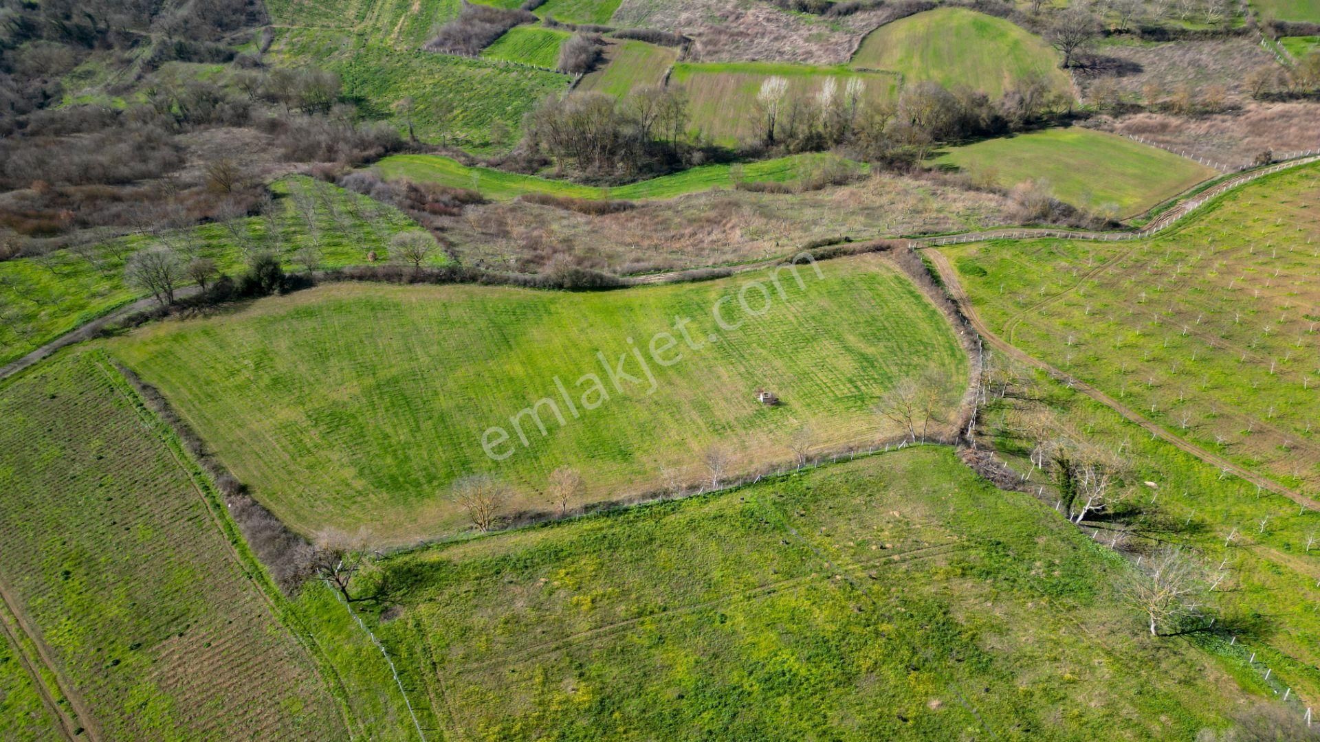 Uzmanlar'dan Karamürsel Yalakdere Satılık 12.730 M2 Tarla - Görsel 7