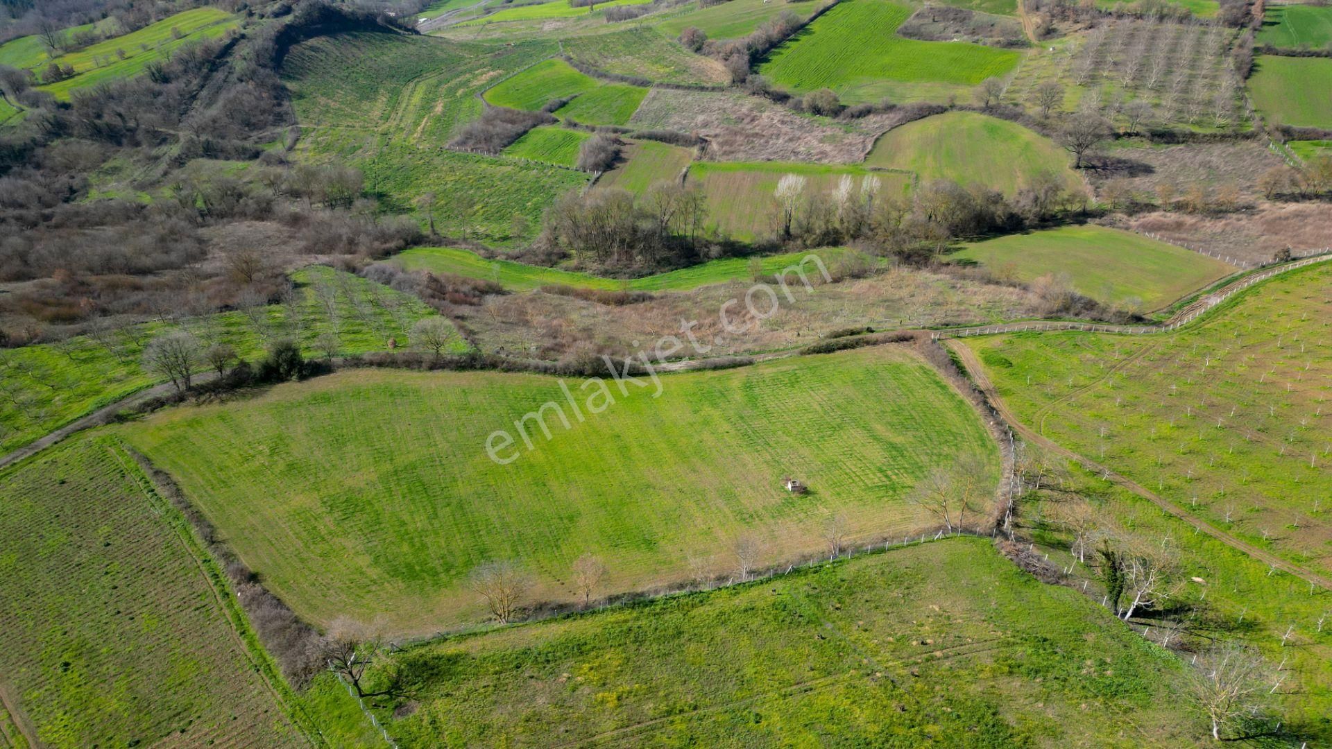 Uzmanlar'dan Karamürsel Yalakdere Satılık 12.730 M2 Tarla - Görsel 6