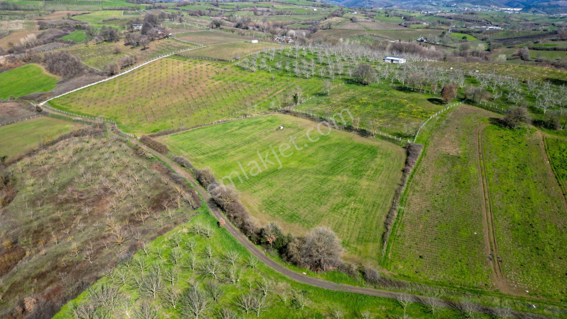 Uzmanlar'dan Karamürsel Yalakdere Satılık 12.730 M2 Tarla - Görsel 2