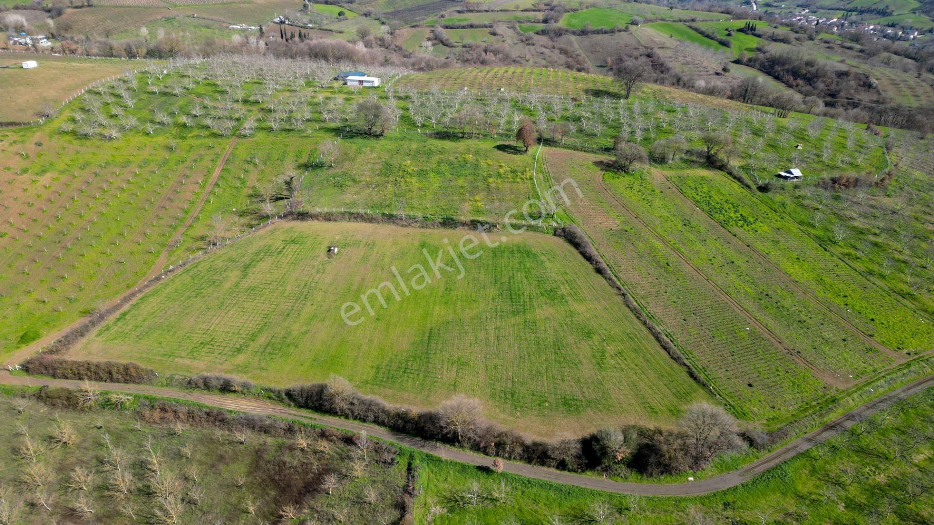 Uzmanlar'dan Karamürsel Yalakdere Satılık 12.730 M2 Tarla - Görsel 11