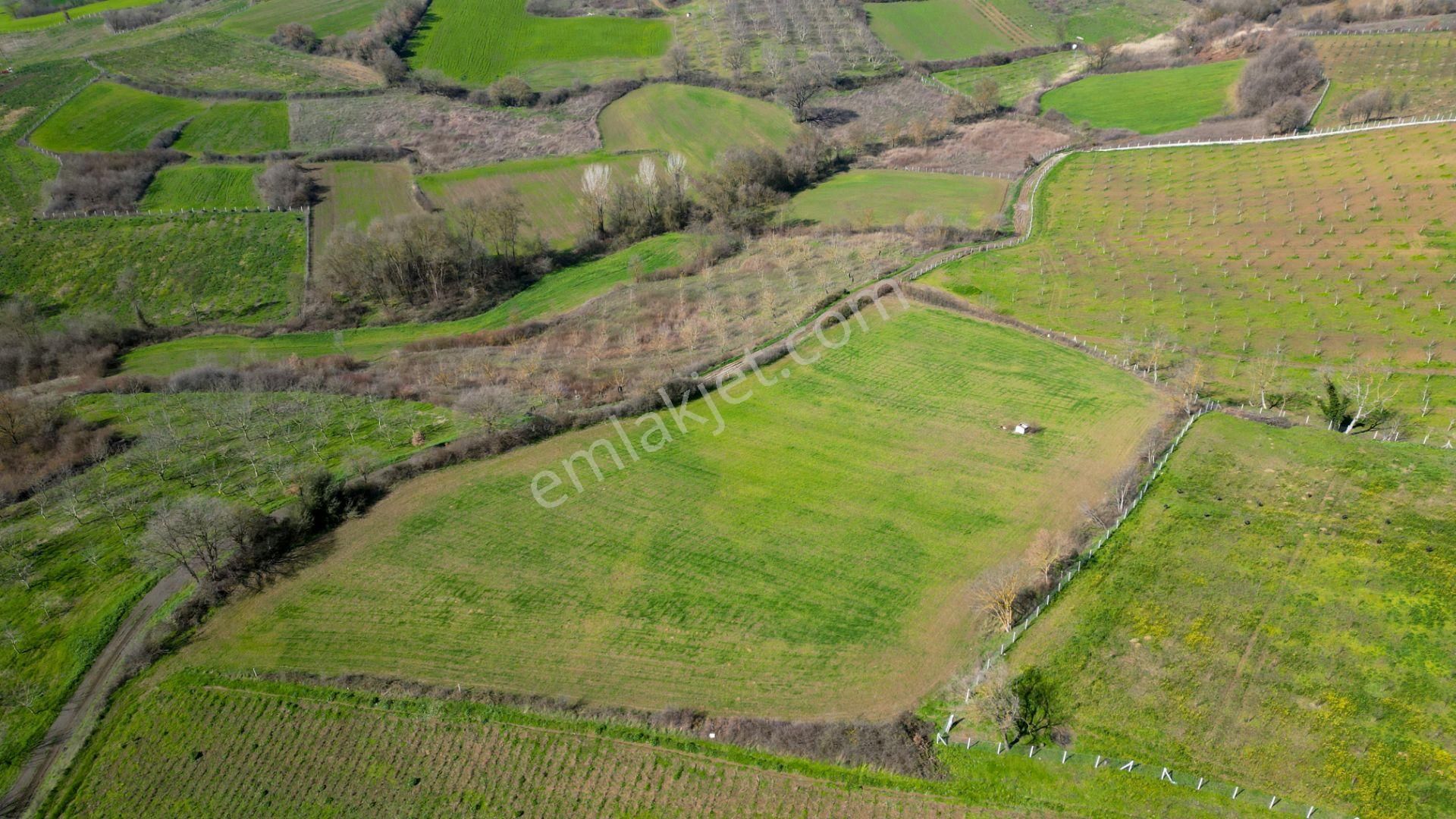 Uzmanlar'dan Karamürsel Yalakdere Satılık 12.730 M2 Tarla - Görsel 5