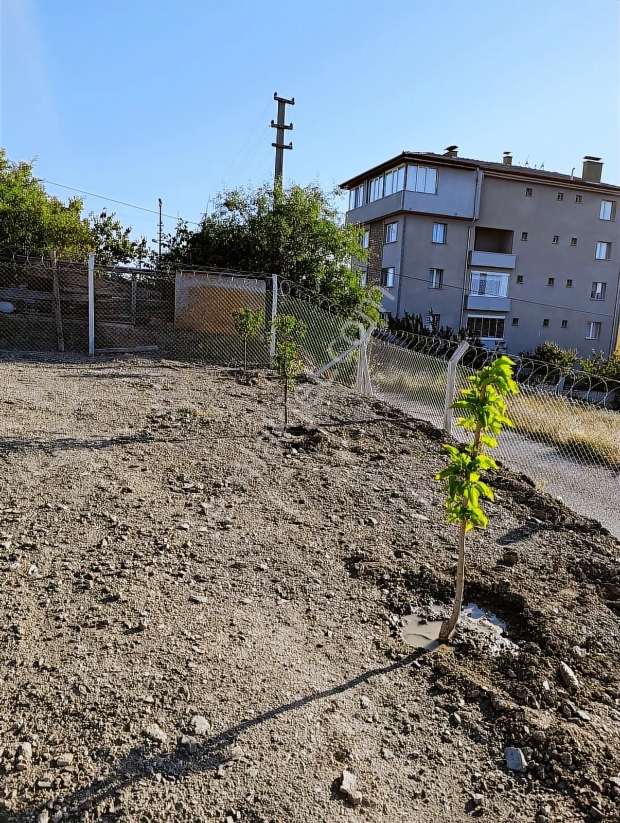 ꧁▇yılmaz'dan▇꧂merkezi Konumda Telle Çevrili Satılık Arsa - Görsel 6