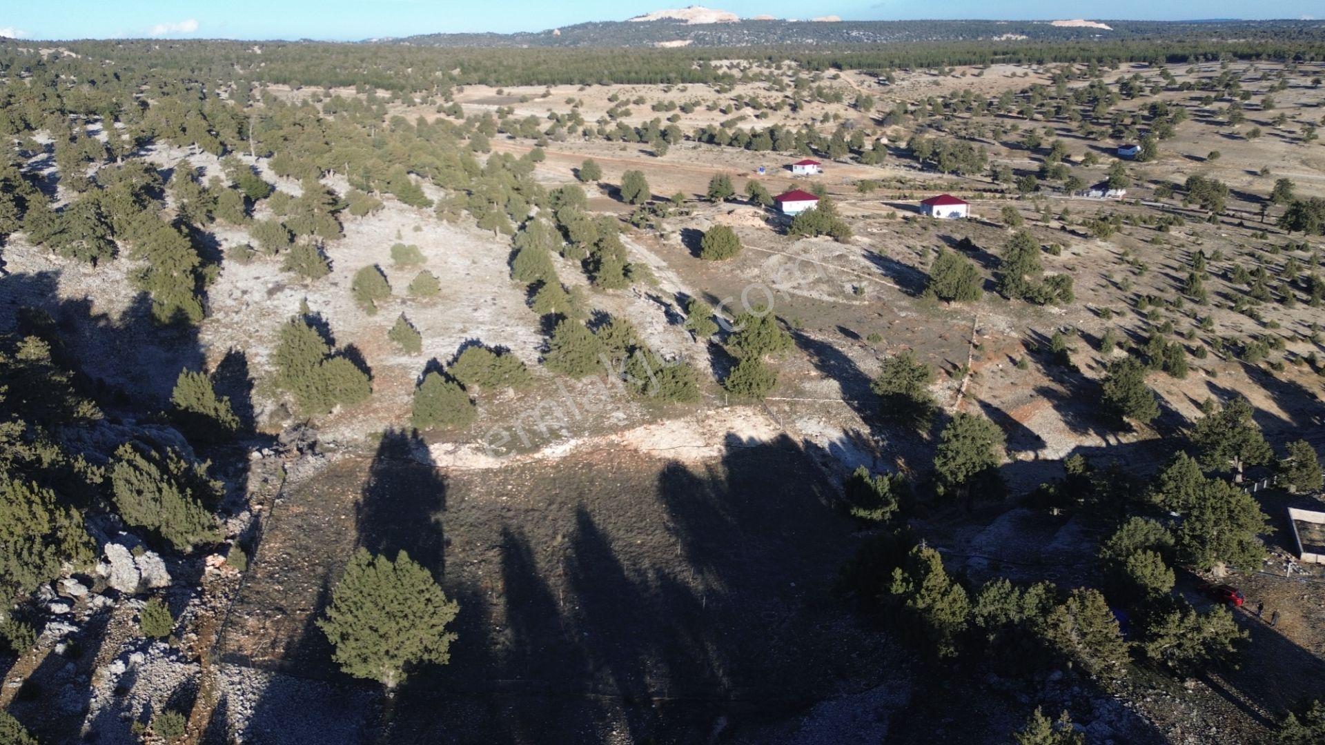2,866 Villa İmarlı Arsa Doğa İle İç İçe - Görsel 4