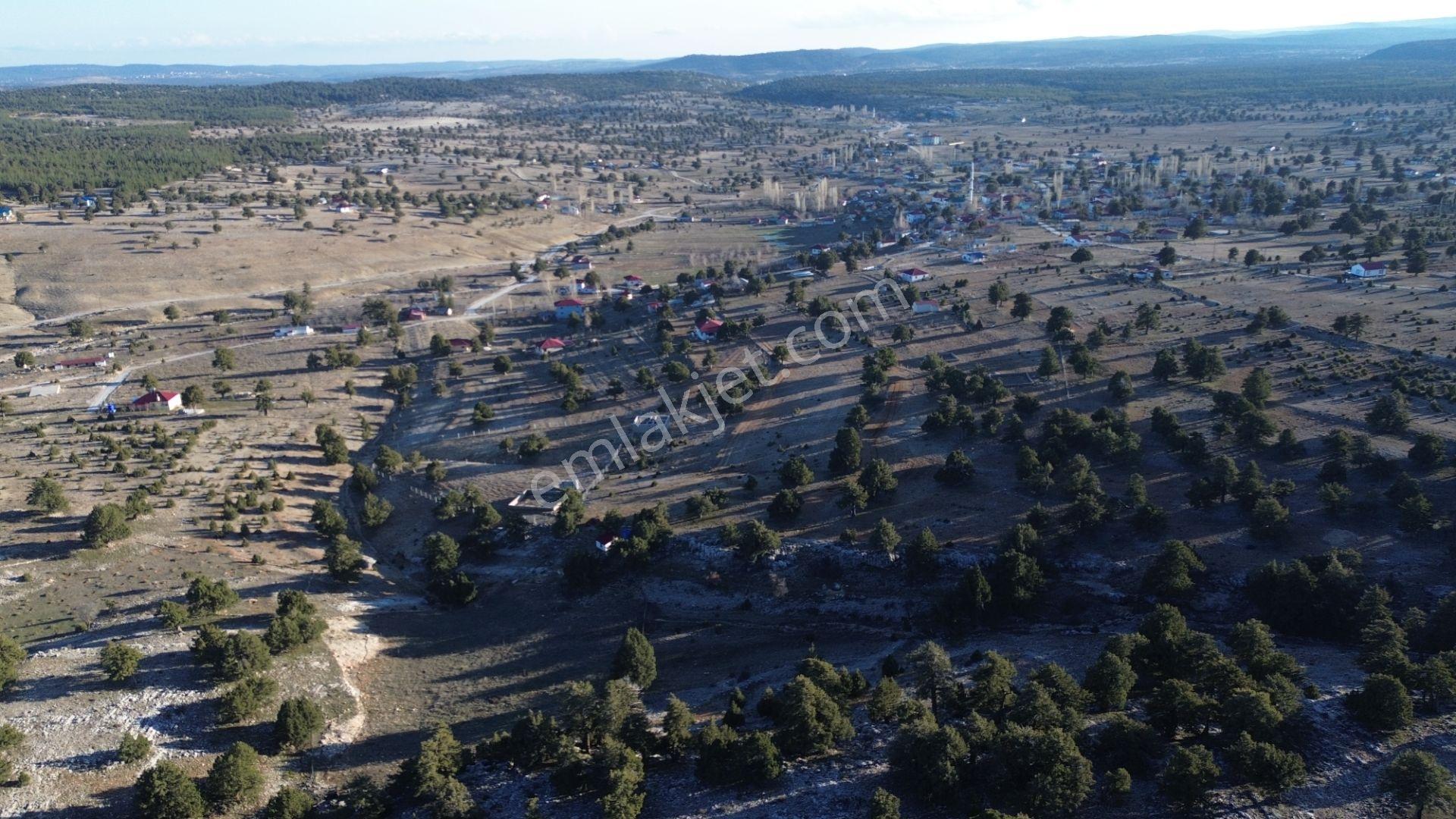2,866 Villa İmarlı Arsa Doğa İle İç İçe - Görsel 8