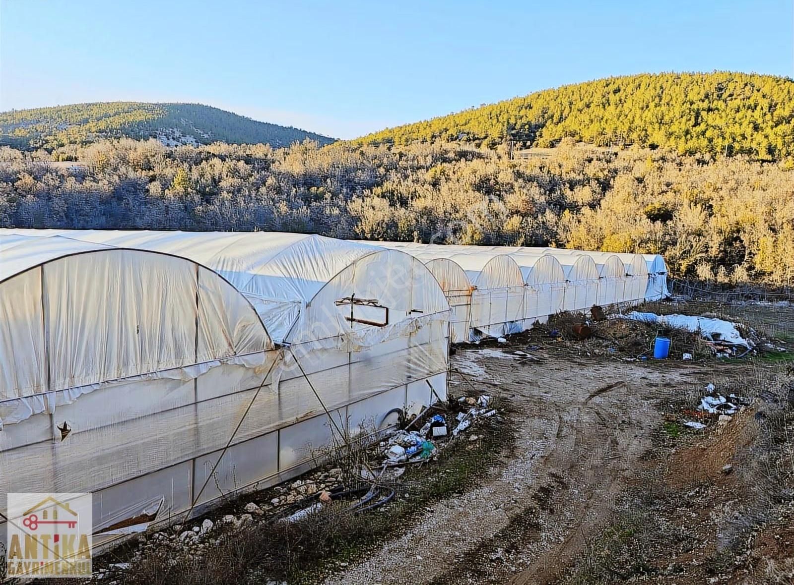 Antika'dan Burdur Altınyayla'da Donanımlı Satılık Tarla