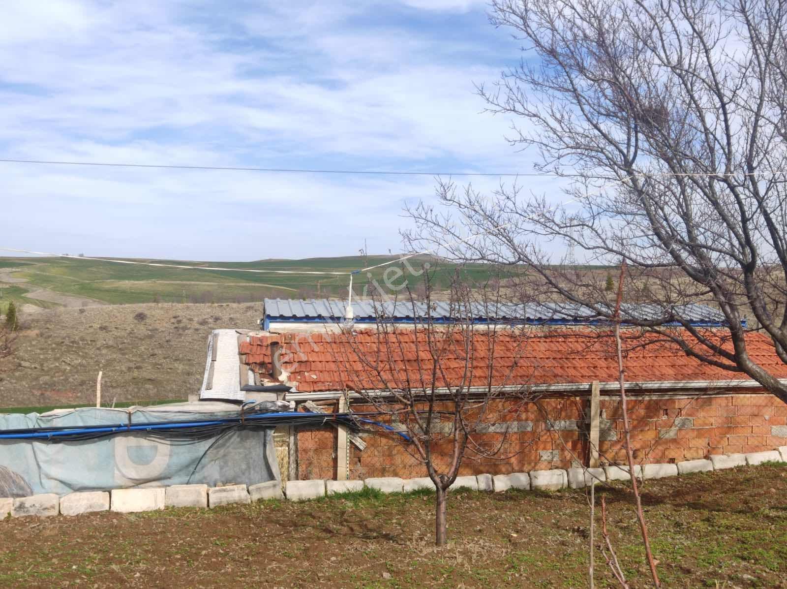 Enes Acur' Dan Polatlı Basri'de Bahçe - Görsel 4