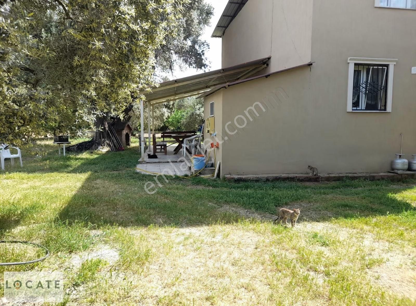 Satılık Kemalpaşa Ören Köyünde Bakımlı Bağ Ve Tapulu Bağ Evi. - Görsel 23
