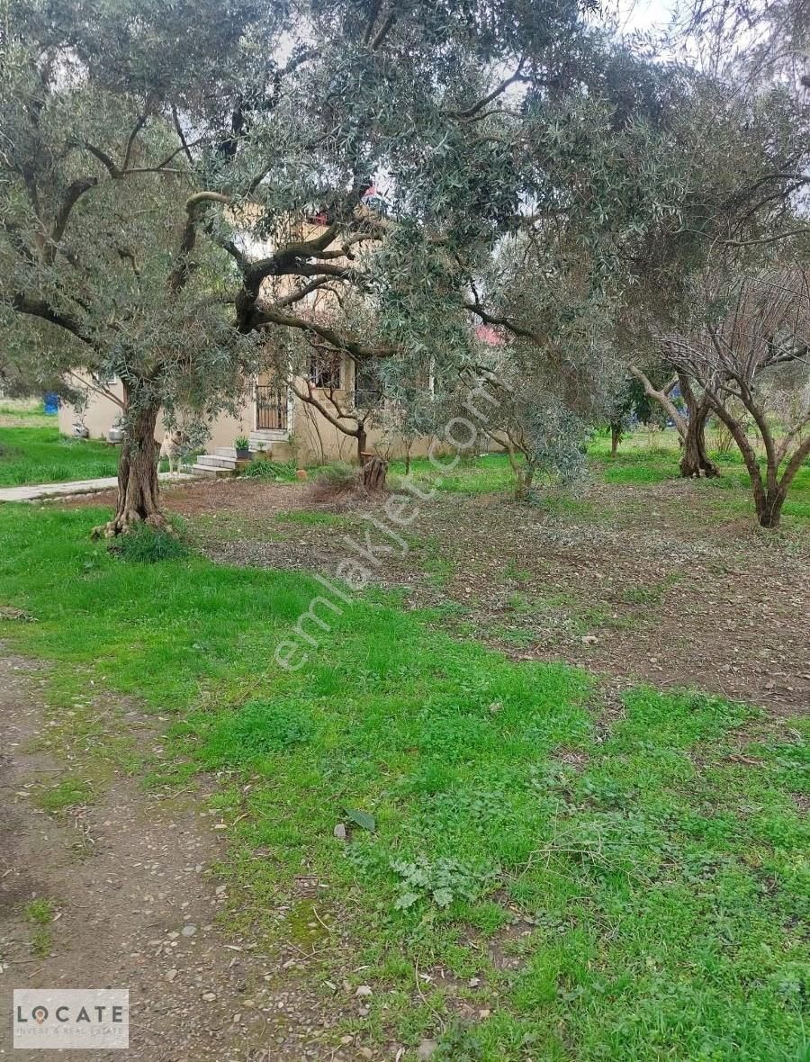 Satılık Kemalpaşa Ören Köyünde Bakımlı Bağ Ve Tapulu Bağ Evi.