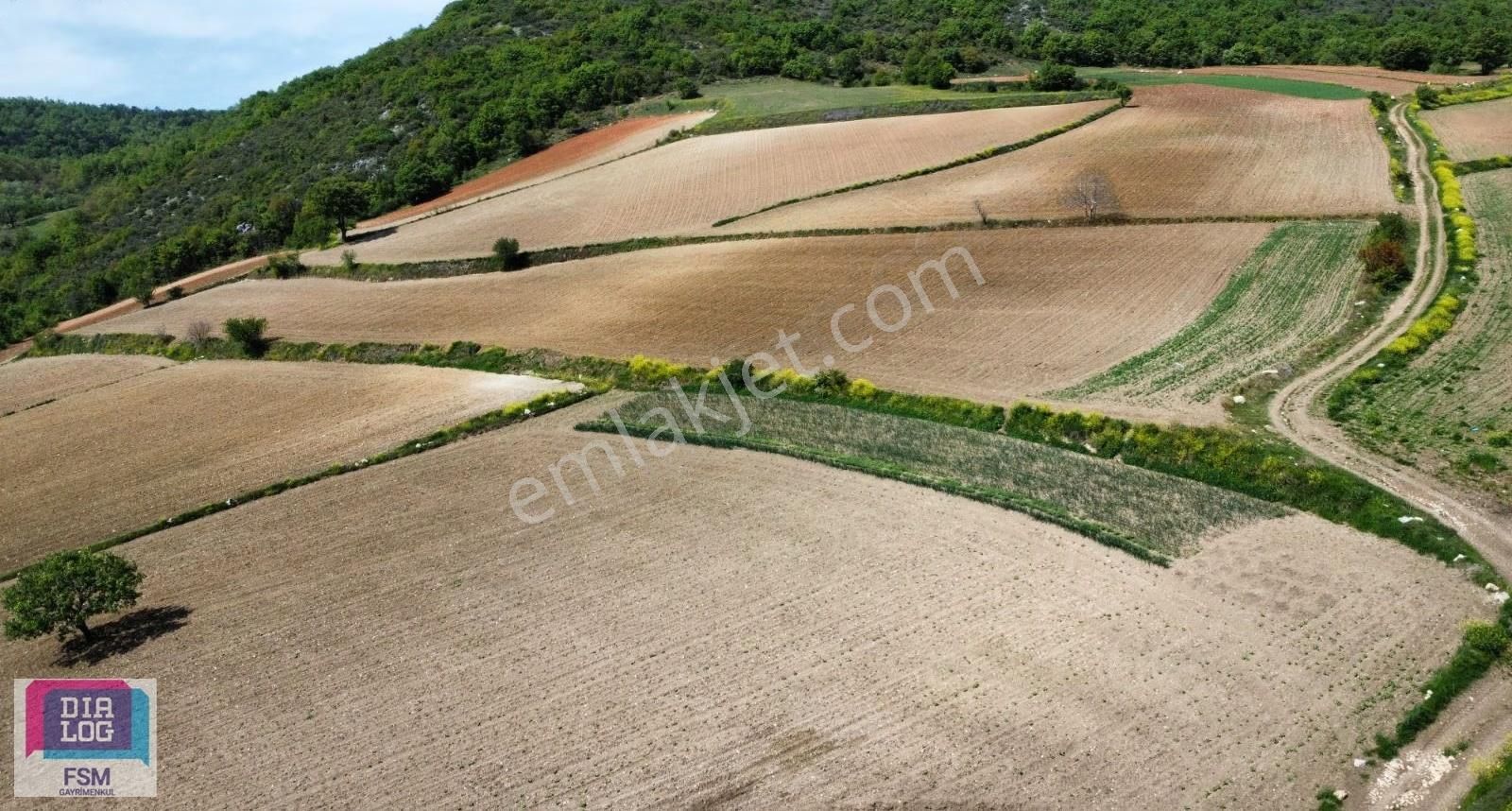 Bursa Yenişehir Kızılköy'de - Yola Cephe 7.629 Çiftlik Arazisi - Görsel 11