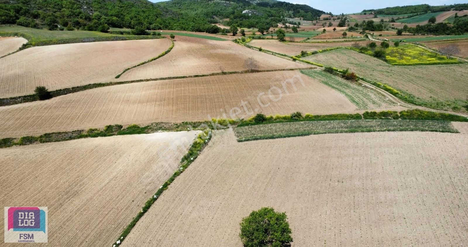 Bursa Yenişehir Kızılköy'de - Yola Cephe 7.629 Çiftlik Arazisi - Görsel 14