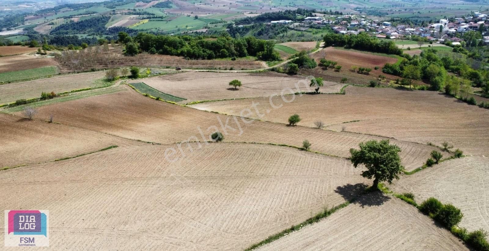 Bursa Yenişehir Kızılköy'de - Yola Cephe 7.629 Çiftlik Arazisi - Görsel 13