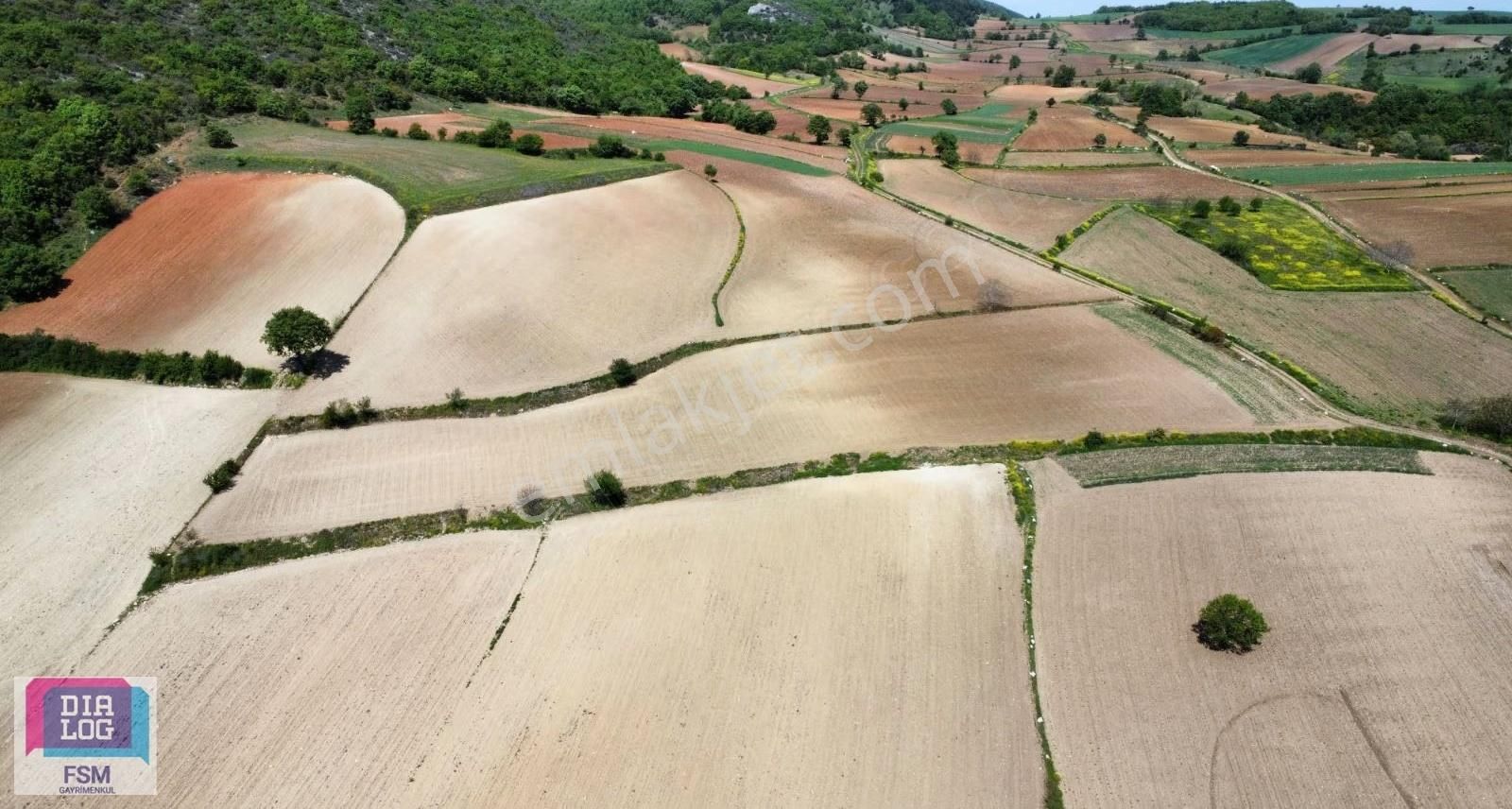 Bursa Yenişehir Kızılköy'de - Yola Cephe 7.629 Çiftlik Arazisi - Görsel 16