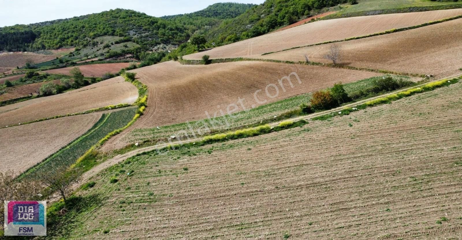 Bursa Yenişehir Kızılköy'de - Yola Cephe 7.629 Çiftlik Arazisi - Görsel 4