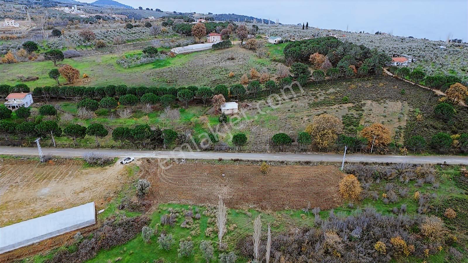 "hak-seç Emlak Armutlu'dan " Mecidiye De %5 İmarlı Satılık Arazi - Görsel 4