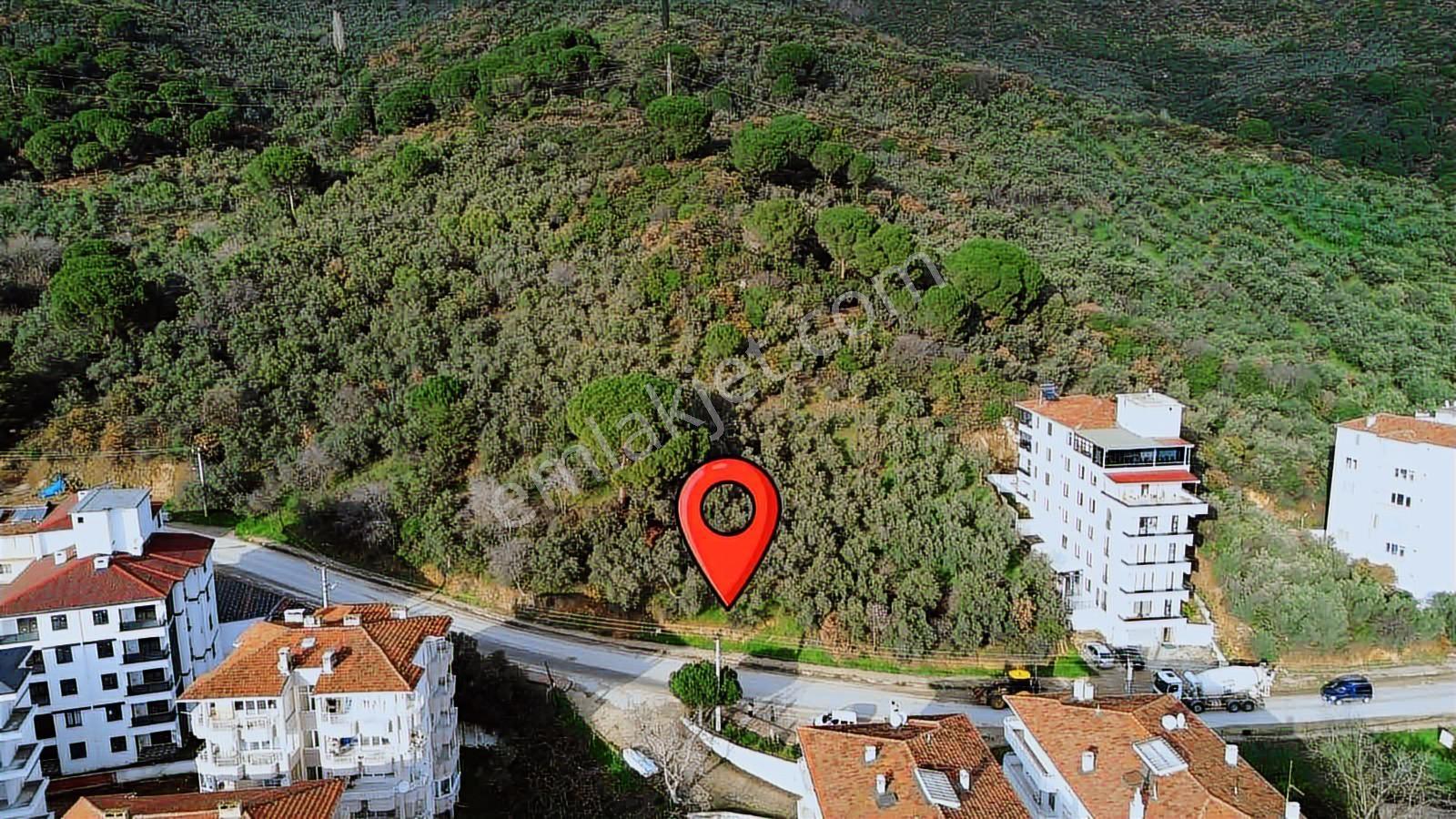"hak-seç Emlak Armutlu"dan Satılık Ve Kat Karşılığı Arsa - Görsel 6
