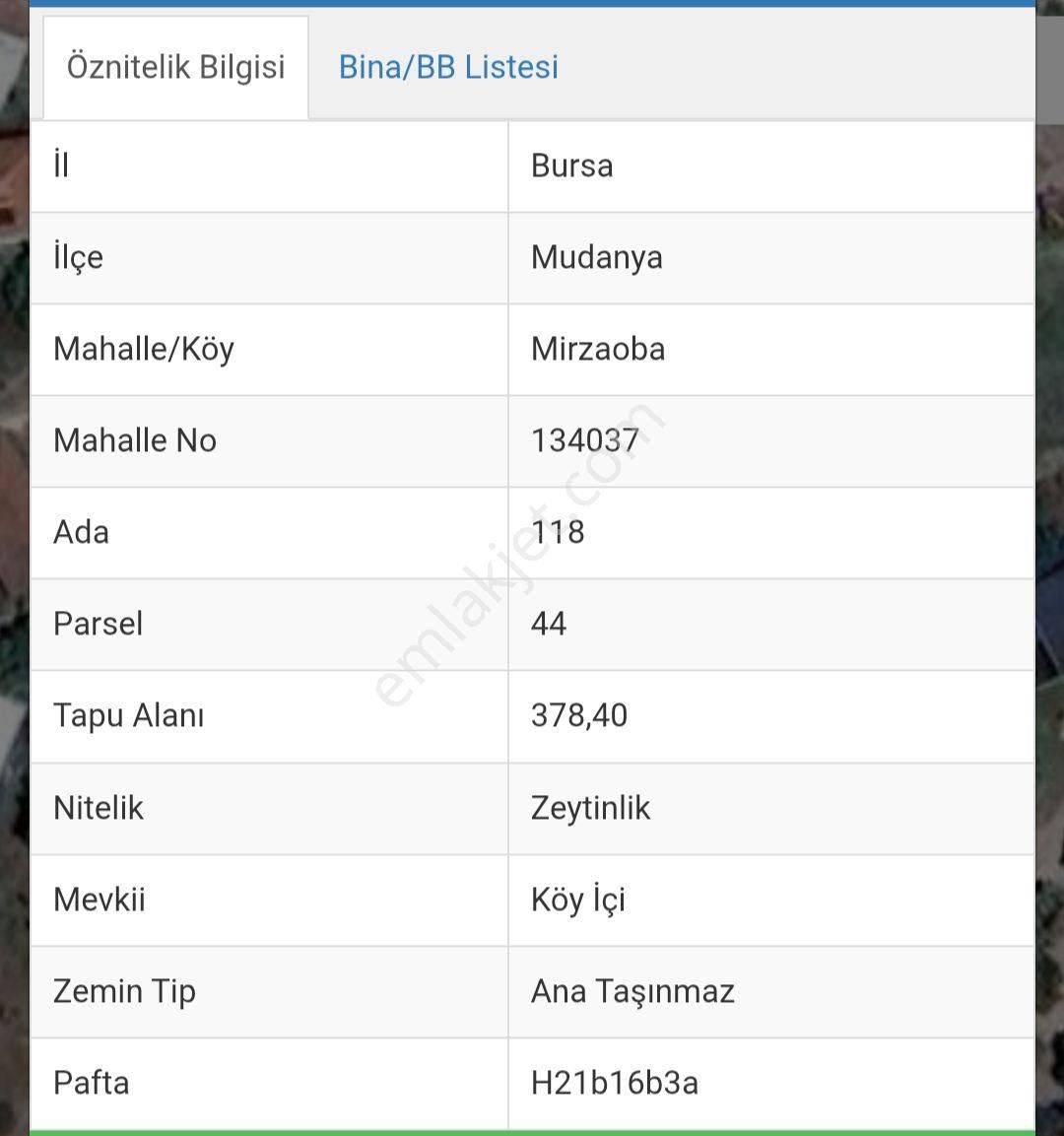 Mudanya Mirzaoba Köyünde Satılık Zeytinlik - Görsel 2