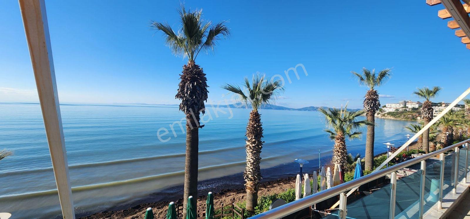 Kuşadası Kadınlar Plajında Devren Kiralık Restaurant - Görsel 7